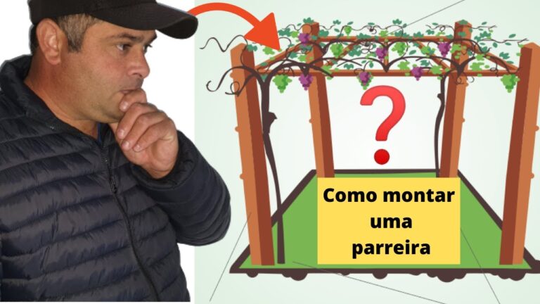 Como Construir uma Estrutura Eficiente para Parreira de Uva