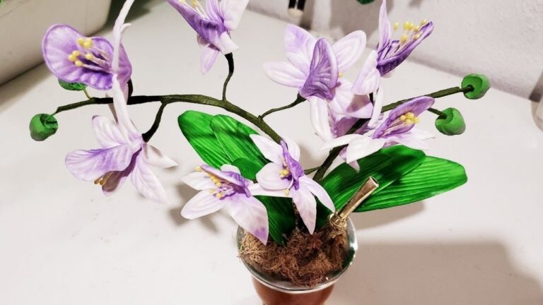 Beleza e Simbolismo da Orquidea Bailarina Branca
