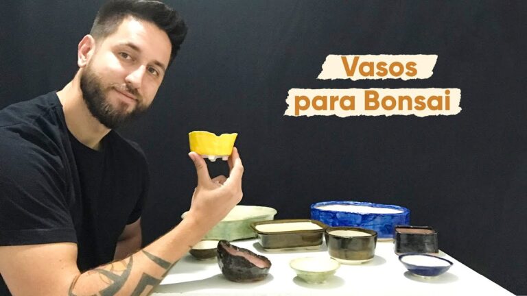 Vasos de Cerâmica Ideais para Bonsai