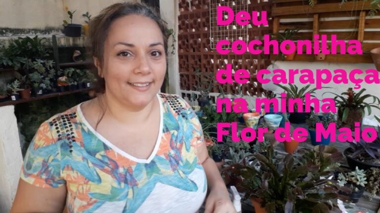 Controle de Fungos em Flor de Maio: Dicas e Tratos Essenciais