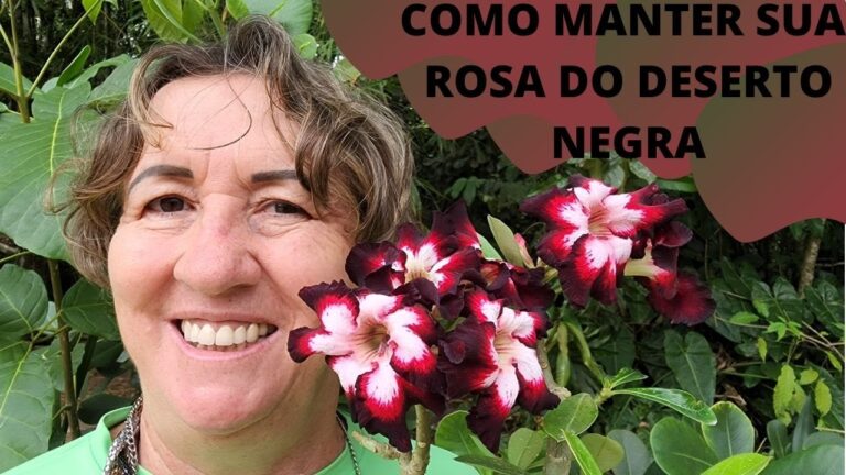 Rosa do Deserto Preta e Branca: Beleza e Cuidado