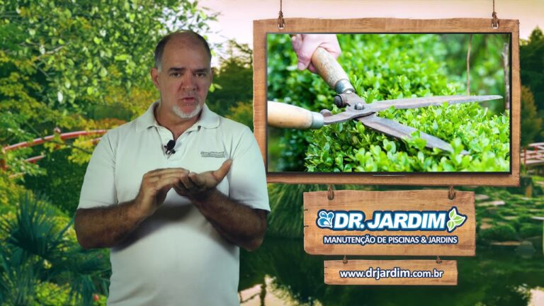 A Melhor Lua para Podar Árvores