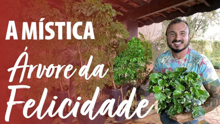 Significado Espiritual da Árvore da Felicidade