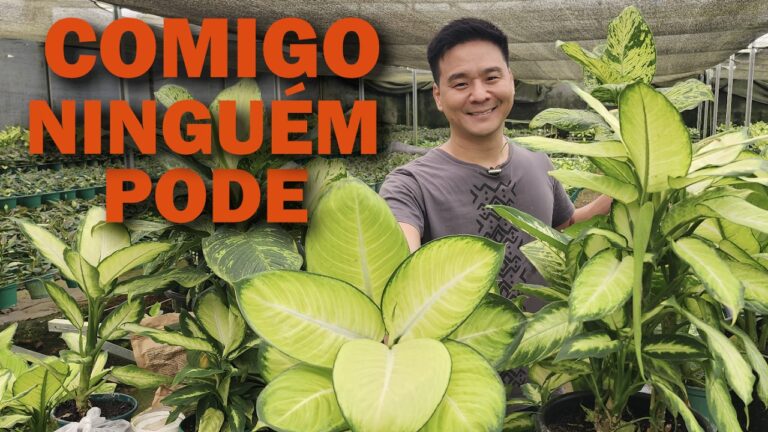 Comigo Ninguém Pode: A Força da Resiliência