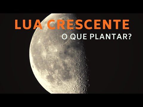 Cultivos Ideais para a Lua Crescente | Actualizado abril 2026