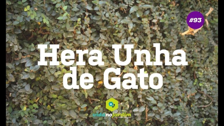 Guia Prático para Fazer Muda de Unha de Gato | Actualizado mayo 2026