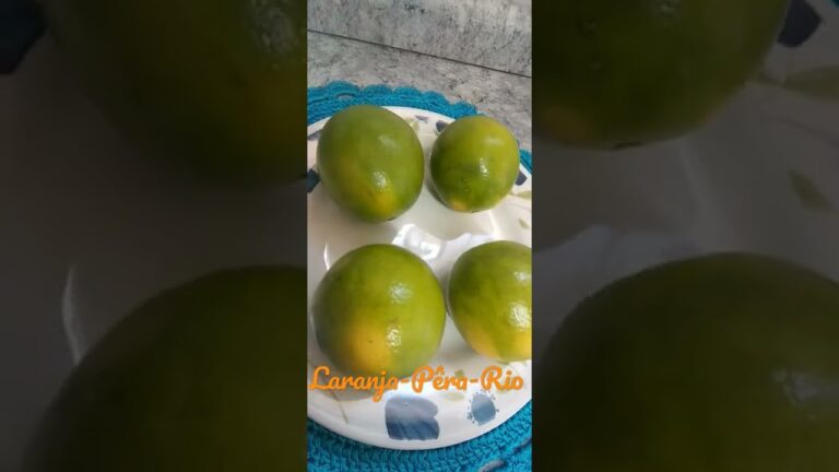 Nome Científico da Laranja: Descubra a Classificação Botânica ...